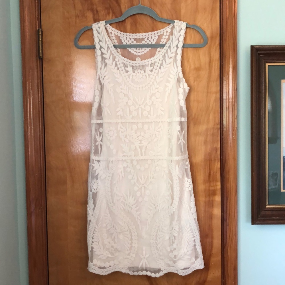 Express lace overlay dress